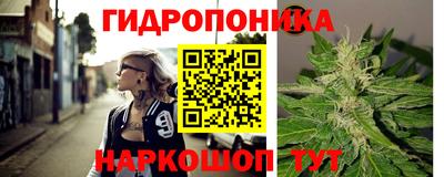 твердый Кингисепп
