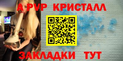 твердый Кингисепп