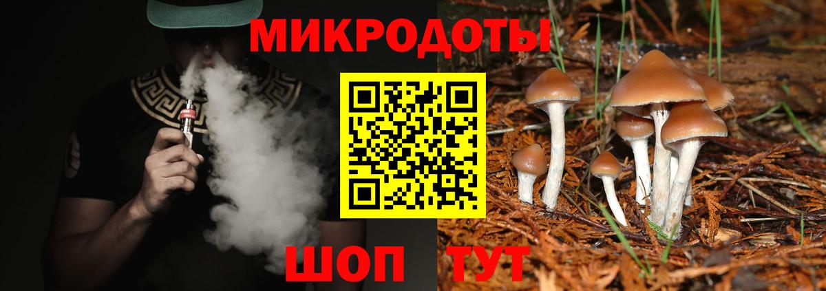 Псилоцибиновые грибы мухоморы Южно-Сахалинск
